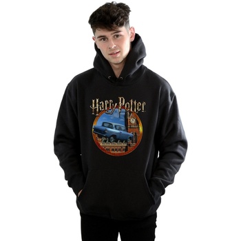 Vêtements Homme Sweats Harry Potter Flying Car Noir