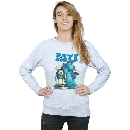 Vêtements Femme Sweats Disney Monsters University Poster Gris
