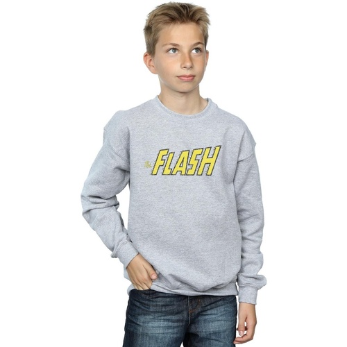 Vêtements Garçon Sweats Dc Comics Flash Crackle Logo Gris