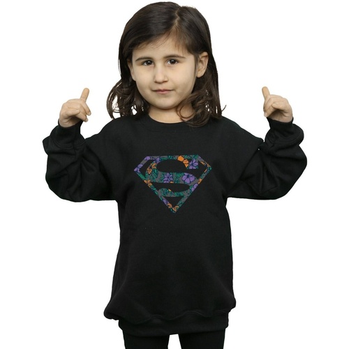 Vêtements Fille Sweats Dc Comics Superman Floral Logo 1 Noir