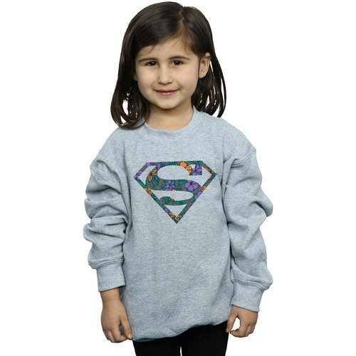 Vêtements Fille Sweats Dc Comics Superman Floral Logo 1 Gris