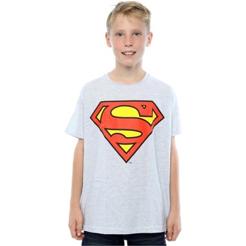 Vêtements Garçon T-shirts manches courtes Dc Comics Superman Logo Gris