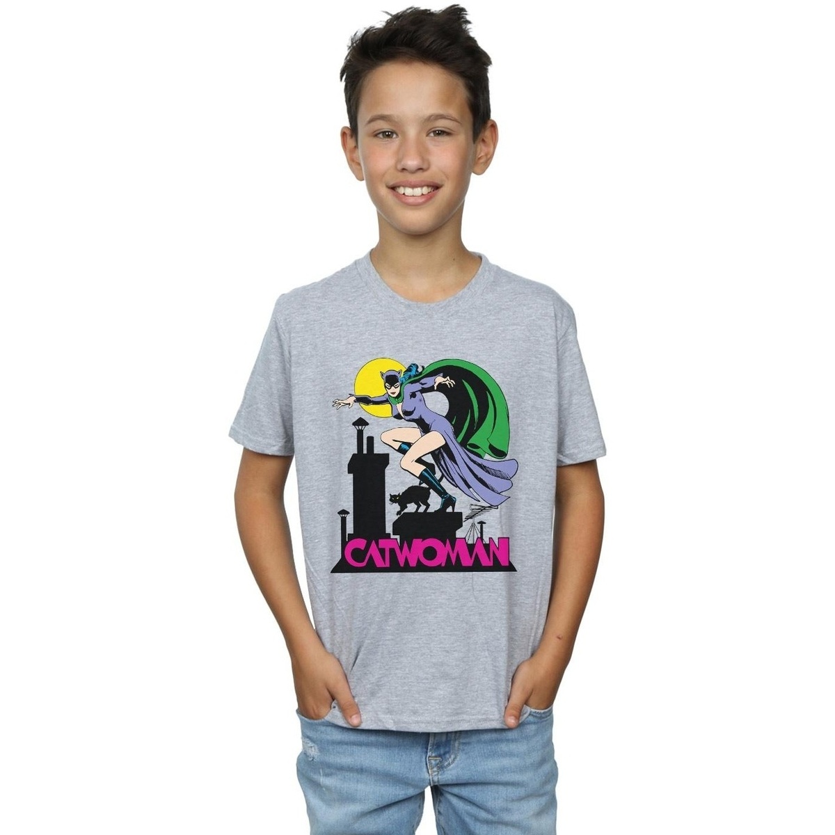 Vêtements Garçon T-shirts manches courtes Dc Comics Catwoman Text Logo Gris