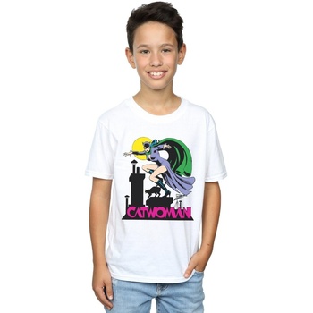 Vêtements Garçon T-shirts manches courtes Dc Comics Catwoman Text Logo Blanc