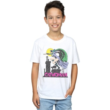 Vêtements Garçon T-shirts manches courtes Dc Comics Catwoman Crackle Logo Blanc