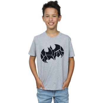 Vêtements Garçon T-shirts manches courtes Dc Comics Batman One Colour Shield Gris
