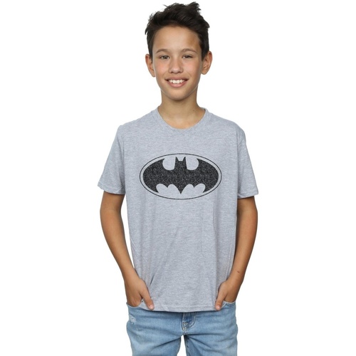 Vêtements Garçon T-shirts manches courtes Dc Comics Batman One Colour Logo Gris
