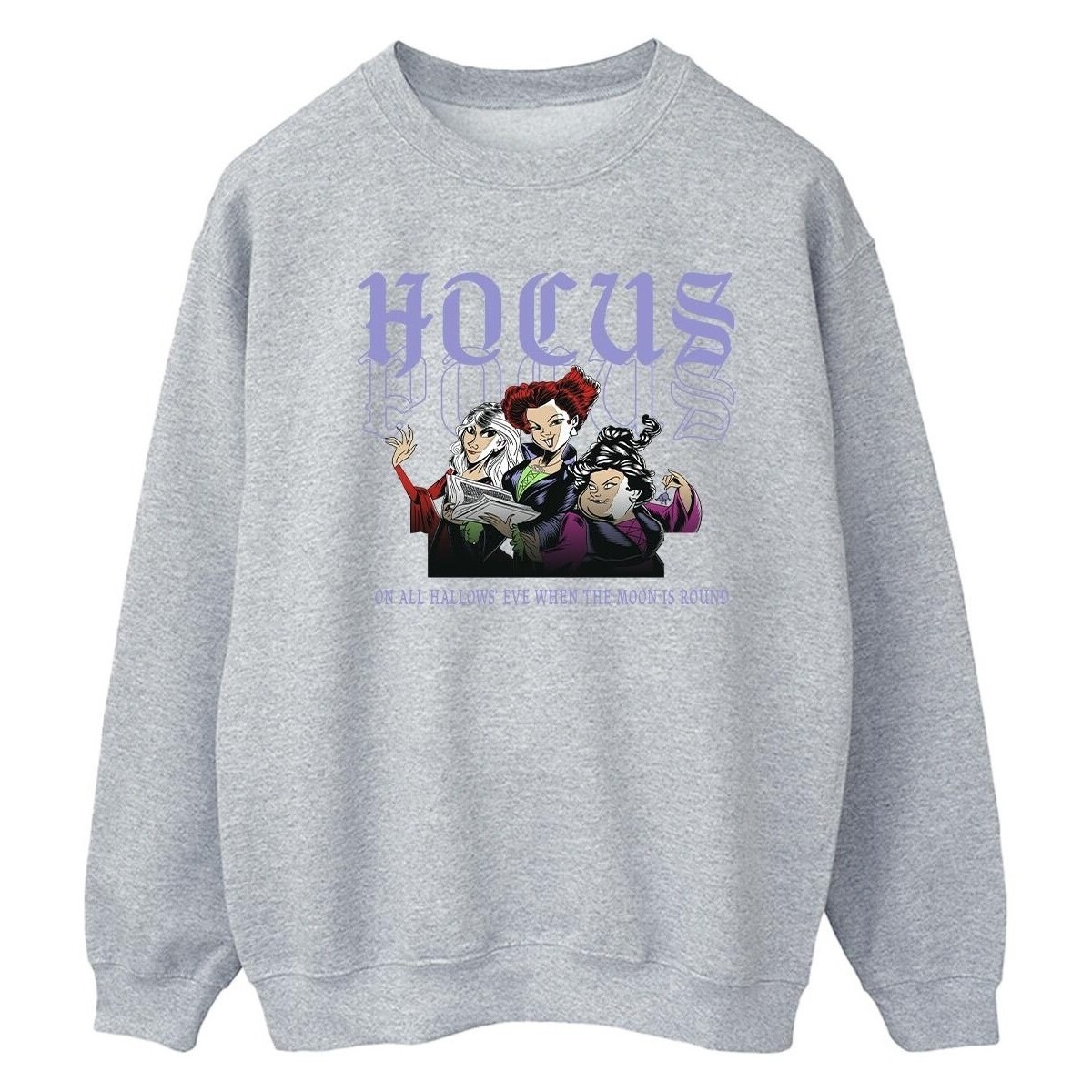 Vêtements Femme Sweats Disney Hocus Pocus Hallows Eve Gris