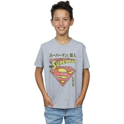 Vêtements Garçon T-shirts manches courtes Dc Comics Superman Shield Gris