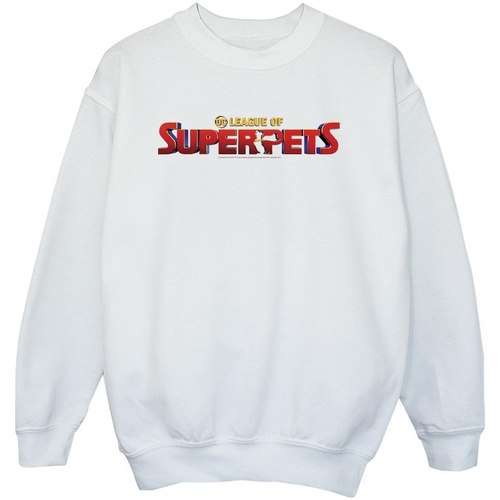 Vêtements Garçon Sweats Dc Comics DC League Of Super-Pets Movie Logo Blanc