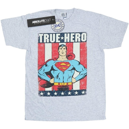 Vêtements Garçon T-shirts manches courtes Dc Comics Superman True Hero Gris