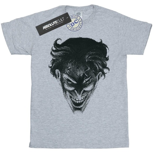 Vêtements Garçon T-shirts manches courtes Dc Comics The Joker Spot Face Gris