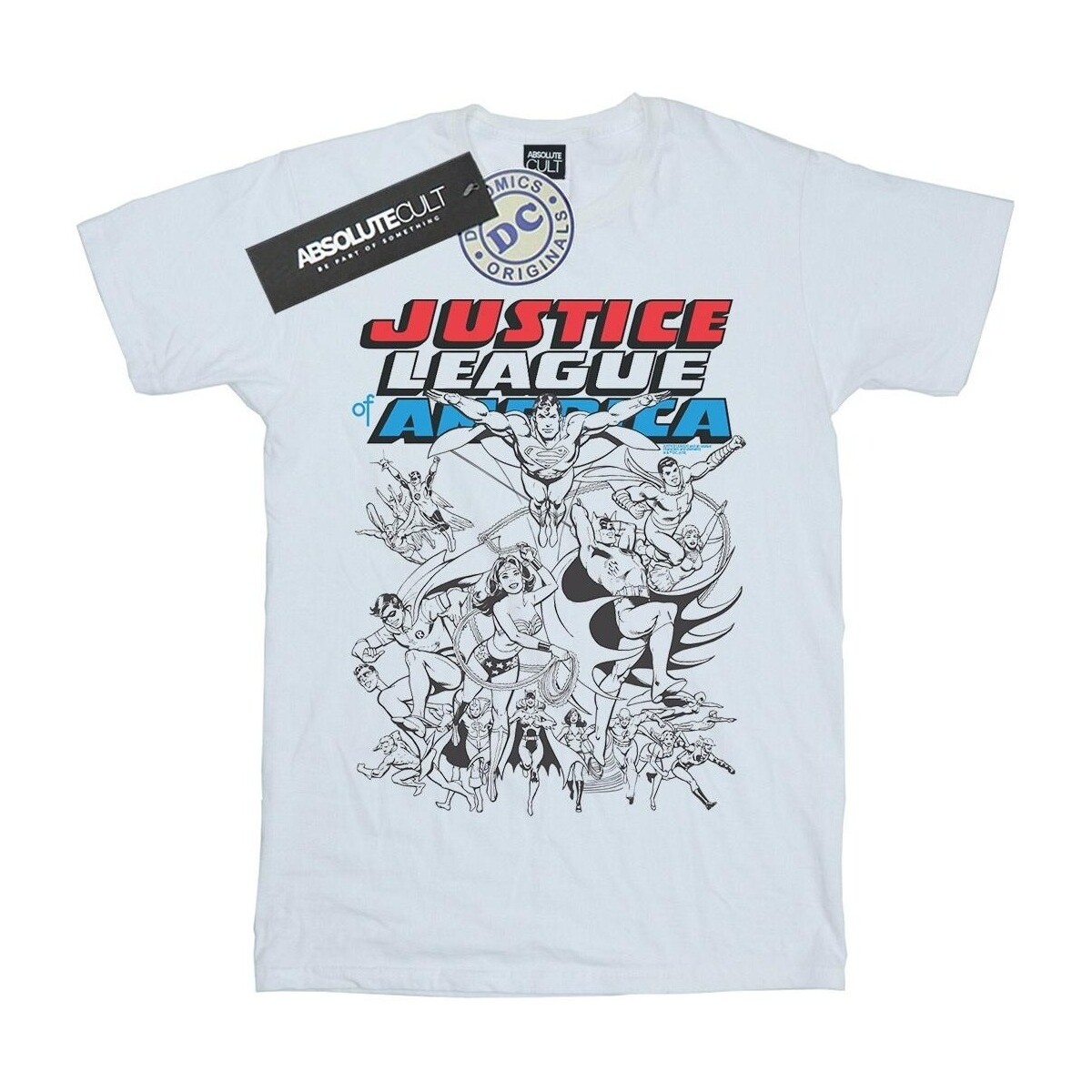 Vêtements Garçon T-shirts manches courtes Dc Comics Justice League Mono Action Pose Blanc