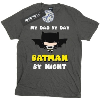 Vêtements Garçon T-shirts manches courtes Dc Comics Batman Dad By Day Multicolore