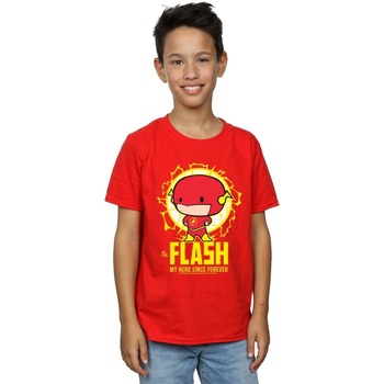 Vêtements Garçon T-shirts manches courtes Dc Comics Flash My Hero Since Forever Rouge
