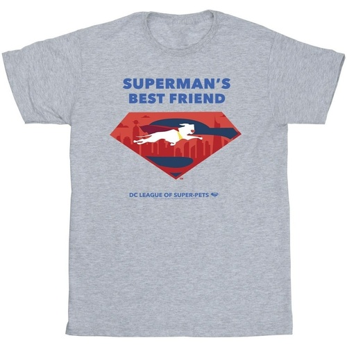 Vêtements Garçon T-shirts manches courtes Dc Comics DC League Of Super-Pets Superman's Best Friend Gris
