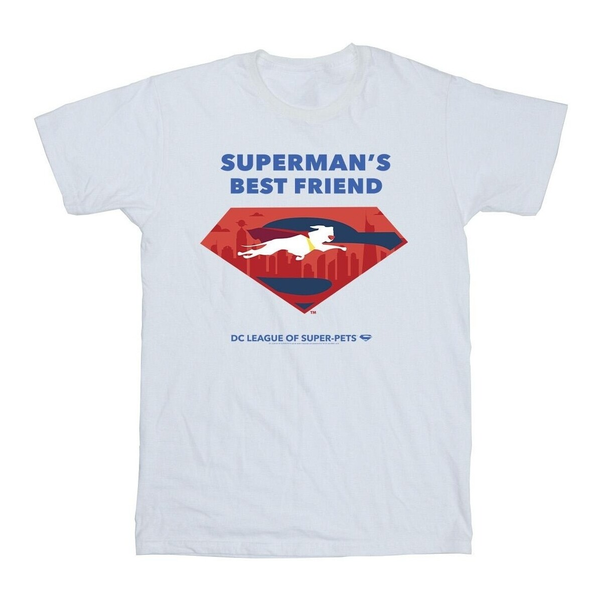 Vêtements Garçon T-shirts manches courtes Dc Comics DC League Of Super-Pets Superman's Best Friend Blanc