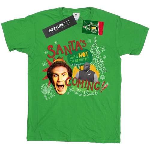Vêtements Garçon T-shirts manches courtes Elf  Vert