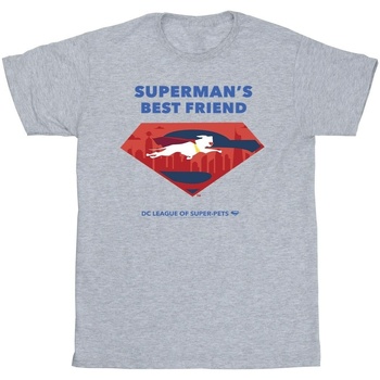 Vêtements Fille T-shirts manches longues Dc Comics DC League Of Super-Pets Superman's Best Friend Gris
