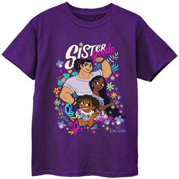 Vêtements Fille T-shirts manches longues Disney Encanto Sister Goals Violet