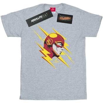 Vêtements Garçon T-shirts manches courtes Dc Comics The Flash Lightning Portrait Gris