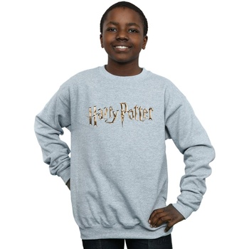 Vêtements Garçon Sweats Harry Potter Full Colour Logo Gris