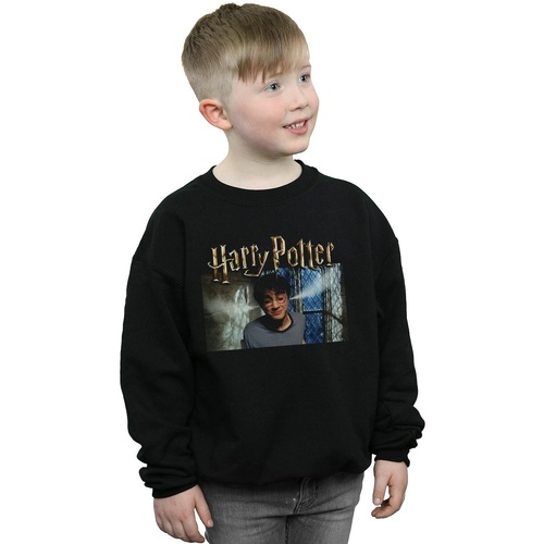 Vêtements Garçon Sweats Harry Potter Steam Ears Noir
