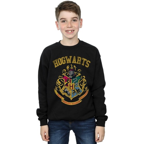 Vêtements Garçon Sweats Harry Potter Filled Crest Varsity Noir