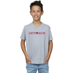 Vêtements Garçon T-shirts manches courtes Harry Potter Gryffindor Text Gris