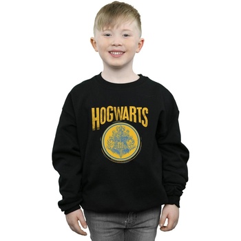 Vêtements Garçon Sweats Harry Potter Hogwarts Circle Crest Noir