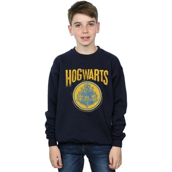 Vêtements Garçon Sweats Harry Potter Hogwarts Circle Crest Bleu