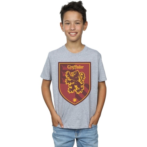 Vêtements Garçon T-shirts manches courtes Harry Potter Gryffindor Crest Flat Gris