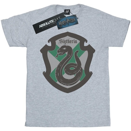 Vêtements Garçon T-shirts manches courtes Harry Potter Slytherin Crest Flat Gris
