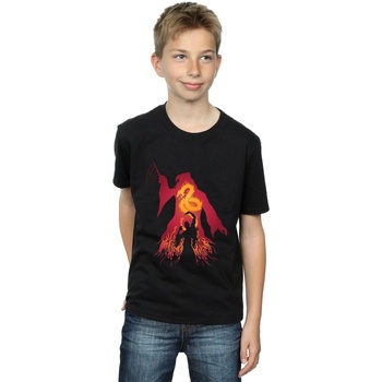 Vêtements Garçon T-shirts manches courtes Harry Potter Dumbledore Silhouette Noir