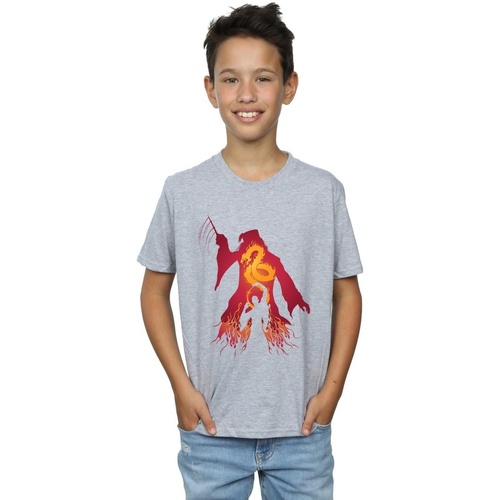 Vêtements Garçon T-shirts manches courtes Harry Potter Dumbledore Silhouette Gris