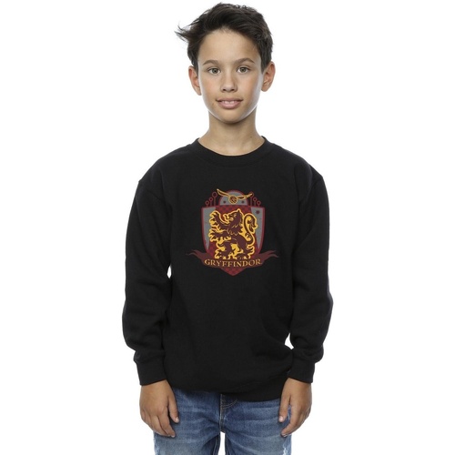 Vêtements Garçon Sweats Harry Potter Gryffindor Chest Badge Noir