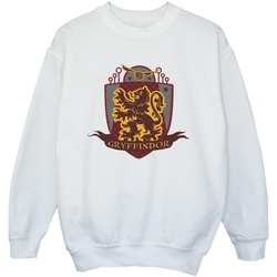 Vêtements Garçon Sweats Harry Potter Gryffindor Chest Badge Blanc