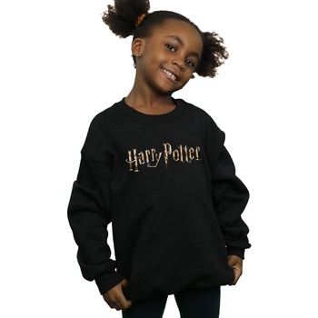 Harry Potter Full Colour Logo Noir