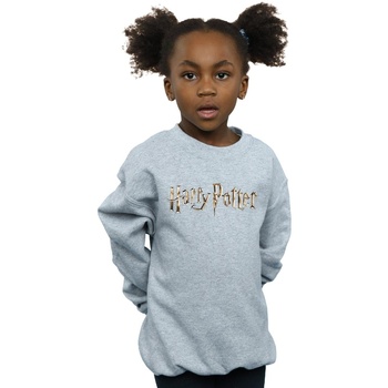 Vêtements Fille Sweats Harry Potter Full Colour Logo Gris