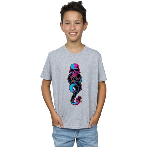 Vêtements Garçon T-shirts manches courtes Harry Potter Calvin Klein graphic logo-print T-shirt Gris