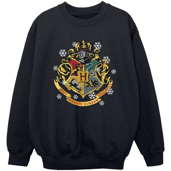 Vêtements Garçon Sweats Harry Potter Christmas Crest Noir