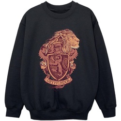 Vêtements Garçon Sweats Harry Potter Gryffindor Sketch Crest Noir