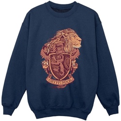 Vêtements Garçon Sweats Harry Potter Gryffindor Sketch Crest Bleu