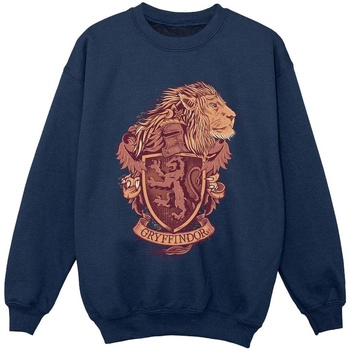 Vêtements Garçon Sweats Harry Potter Gryffindor Sketch Crest Bleu
