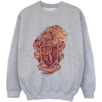 Vêtements Garçon Sweats Harry Potter Gryffindor Sketch Crest Gris