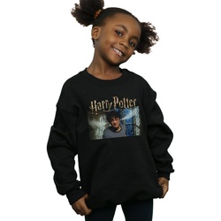 Vêtements Fille Sweats Harry Potter Steam Ears Noir