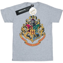 Vêtements Garçon T-shirts & Polos Harry Potter Hogwarts Crest Gold Ink Gris