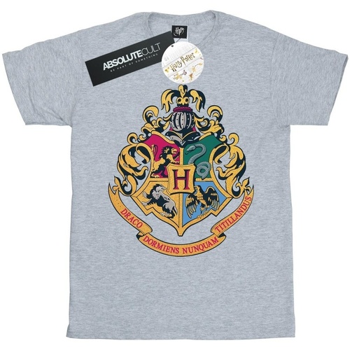 Vêtements Garçon T-shirts manches courtes Harry Potter Hogwarts Crest Gold Ink Gris