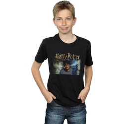 Vêtements Garçon T-shirts manches courtes Harry Potter Steam Ears Noir
