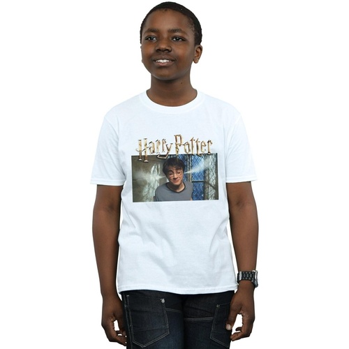 Vêtements Garçon T-shirts manches courtes Harry Potter Steam Ears Blanc